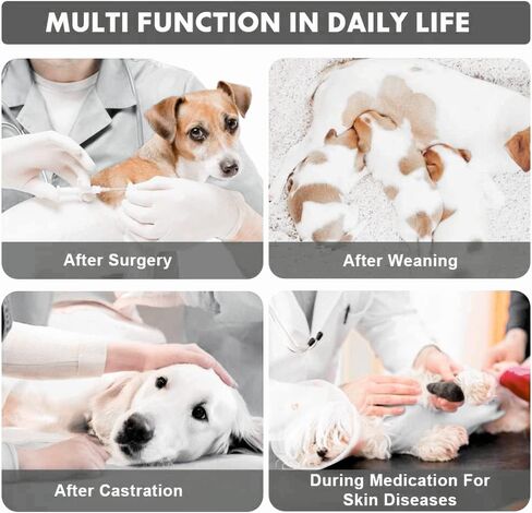 بدلة جراحة COCHPR للكلاب، بدلة تعافي جرح البطن، ملابس جراحية للجرو، سترة ما بعد الجراحة للحيوانات الأليفة بعد الجراحة، بديل الملابس (XXXL، مموه) in Kuwait