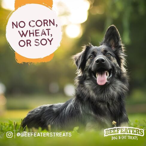 لفائف دجاج لحم البقر، خالية من الجلود الخام، 4 قيراط، علبة 12 (348898) in Kuwait