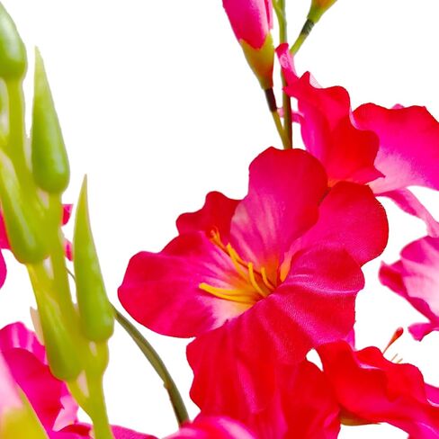 kimbovillea Pack of 10 - Artificial Gladiolus Silk Orchids Flower Stems Fake Dendrobium Flowers Daffodils for Home Garden Party Wedding Decoration (Fuchsia) in Kuwait