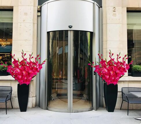 kimbovillea Pack of 10 - Artificial Gladiolus Silk Orchids Flower Stems Fake Dendrobium Flowers Daffodils for Home Garden Party Wedding Decoration (Fuchsia) in Kuwait