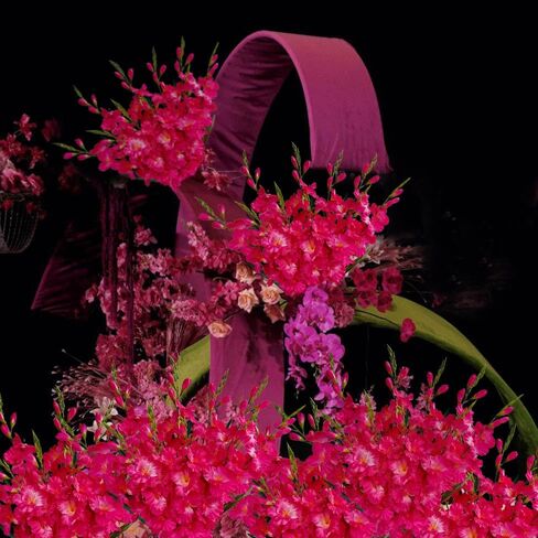 kimbovillea Pack of 10 - Artificial Gladiolus Silk Orchids Flower Stems Fake Dendrobium Flowers Daffodils for Home Garden Party Wedding Decoration (Fuchsia) in Kuwait