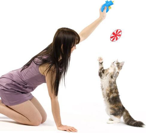 18 قطعة من ألعاب جلب القطط، ألعاب تفاعلية للحيوانات الأليفة، ألعاب تتبع تتبع القطط مع 5 ألوان مراوح طائرة للقطط الصغيرة ومطاردة الحيوانات الأليفة وتدريب الصيد وممارسة الرياضة in Kuwait
