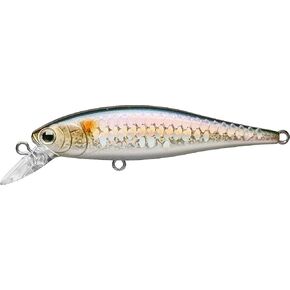 LUCKY CRAFT Pointer 65SP, Fishing Jerkbait Side by Side Action Lure, Tournament Winning Perfect Wobbling Pond Fishing River Trout Fishing Tackle, Freshwater Bass in Kuwait