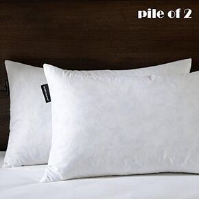 Euro Pillow Inserts 30x30 inchs - Feather and Down Fill - Cotton Fabric - Set of 2 Throw Pillow Insert