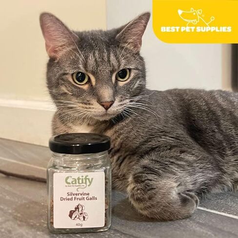 Natural Silvervine Cat Chew Toy | Interactive Silver Vine Chewing Toys with Catnip Like Effect in Kuwait