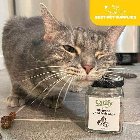 Natural Silvervine Cat Chew Toy | Interactive Silver Vine Chewing Toys with Catnip Like Effect in Kuwait