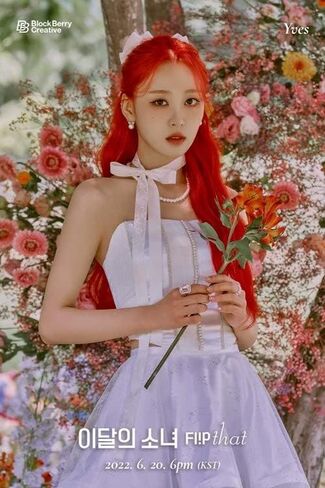 Dreamus MONTHLY GIRL LOONA - ألبوم صغير خاص للصيف [Flip That] (إصدار D)، 158 × 218 × 14 مم (VDCD6909) in Kuwait