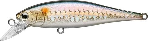 LUCKY CRAFT Pointer 65SP, Fishing Jerkbait Side by Side Action Lure, Tournament Winning Perfect Wobbling Pond Fishing River Trout Fishing Tackle, Freshwater Bass in Kuwait