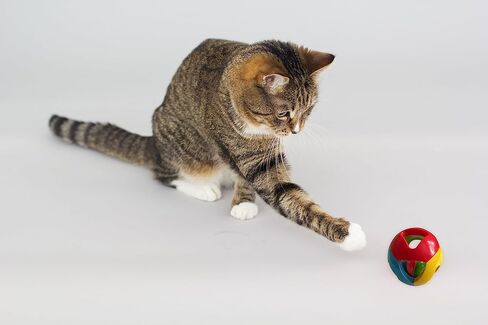 SIMENA Parrot Ball Toy with Bell, Cage Hanging Accessories for Medium to Large Birds, Parrot Toy, Interactive Puzzle Bird Bell Toy, Bird Ball, Cat Ball Toy (Globe, Set of 1) in Saudi Arabia