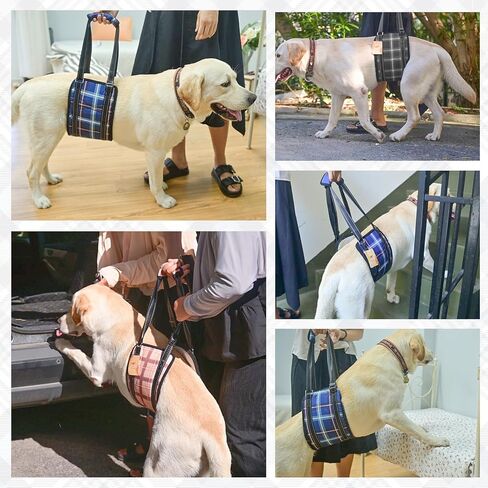 سرج مساعدة رفع الكلاب من بيوتيزو للساق الخلفية الخلفية، حامل حبال للكلاب الصغيرة والمتوسطة والكبيرة الحجم - إعادة تأهيل دعم الورك للأرجل الخلفية المعاقين والكلاب المصابة، مساعدة الكلاب، محمول in Kuwait