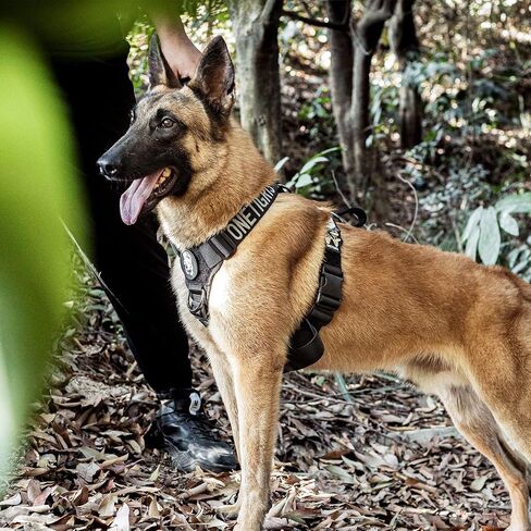 Dog Harness, No Pull Dog Harness, Lightweight Dog Harness Perfect for Walking Hiking All-Day Wear with Small, Medium and Large Dogs(Black,L) in Kuwait
