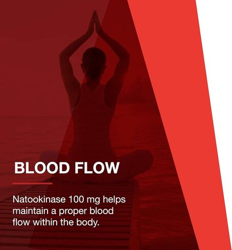 PROTOCOL FOR LIFE BALANCE - Nattokinase 100 mg - 2,000 Fibrinolytic Units of Enzyme Activity to Support Heart Health, Circulation, and Normal Blood Flow, Enhanced Formula Supplement - 60 Veg Capsules in Saudi Arabia