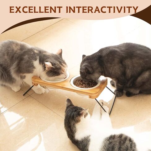 PLUROOF Ceramic Elevated 15°Tilted Cat Bowls, Food and Water Feeding Dishes Bowls, Non-Slip Metal Frame Stand Feeder for Small Size Dogs in Saudi Arabia