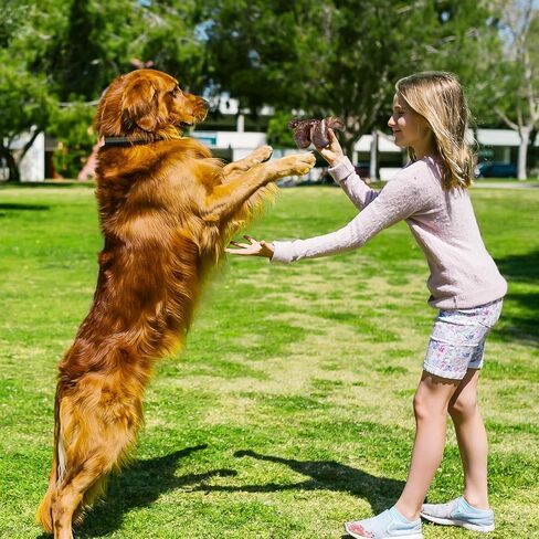 ألعاب مضغ الكلاب للمضغين العدوانيين: ألعاب الكلاب غير القابلة للتدمير للمضغين العدوانيين، ألعاب الكلاب القوية بنكهة لحم الخنزير المقدد للكلاب الكبيرة، عظمة كلب متينة لسلالة الكلاب الكبيرة/المتوسطة in Kuwait