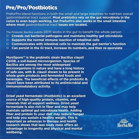 إنزيمات هيربامي الهضمية مع البروبيوتيك والبريبايوتكس، بوستبيوتيك، 60 كبسولة، تدعم صحة الجهاز الهضمي والجهاز الهضمي، وتعزز الجهاز المناعي in Kuwait