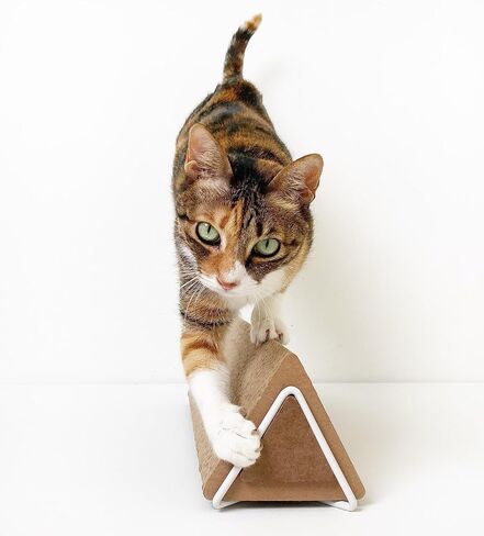 عمود خدش مثبت على الحائط من xympo، أداة خدش مثلثة للقطط، أداة خدش من الورق المقوى مع دعامة معدنية in Kuwait