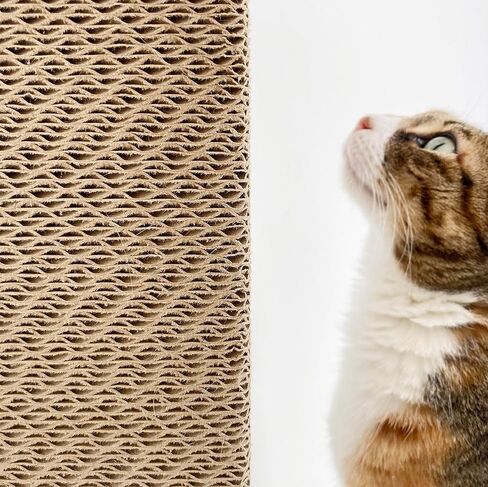 عمود خدش مثبت على الحائط من xympo، أداة خدش مثلثة للقطط، أداة خدش من الورق المقوى مع دعامة معدنية in Kuwait