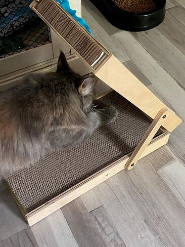 Best wood-built design for your cat is a vertical cat scratching post & horizontal flat scratching pad as 1. Comes with a reversible Cardboard scratch pad and Commercial grade carpet cat scratch board in Kuwait
