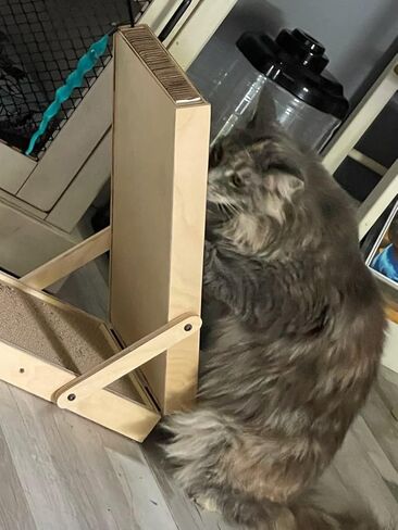 Best wood-built design for your cat is a vertical cat scratching post & horizontal flat scratching pad as 1. Comes with a reversible Cardboard scratch pad and Commercial grade carpet cat scratch board in Kuwait