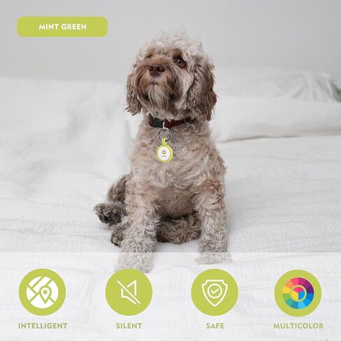 QR Code Dog Tag,Personalized Dog Tags with Free Editable Online Pet Profile,Emergency Contact Page,Dog Id Tag,Silent Silicone Dog Tag,Scan QR Receive Instant Pet Location Alert Email(Sapphire Blue) in Saudi Arabia