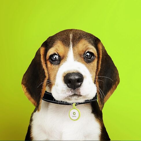 QR Code Dog Tag,Personalized Dog Tags with Free Editable Online Pet Profile,Emergency Contact Page,Dog Id Tag,Silent Silicone Dog Tag,Scan QR Receive Instant Pet Location Alert Email(Sapphire Blue) in Saudi Arabia