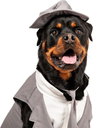 Midlee Dog Tuxedo Wedding Suit- Gray Top Hat & Leash (XX-Large) in Kuwait