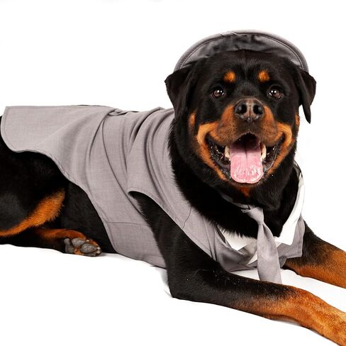 Midlee Dog Tuxedo Wedding Suit- Gray Top Hat & Leash (XX-Large) in Kuwait