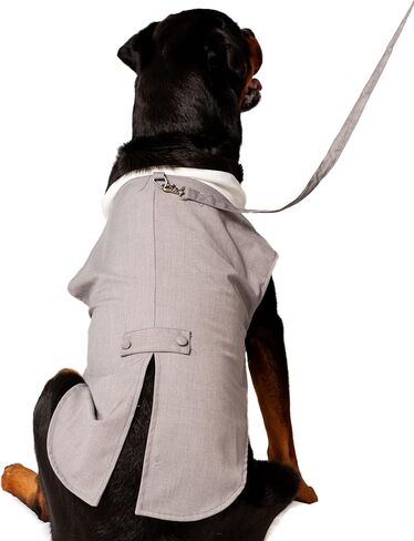 Midlee Dog Tuxedo Wedding Suit- Gray Top Hat & Leash (XX-Large) in Kuwait