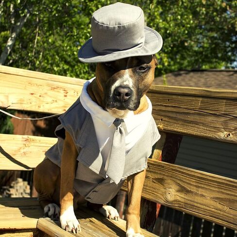 Midlee Dog Tuxedo Wedding Suit- Gray Top Hat & Leash (XX-Large) in Kuwait