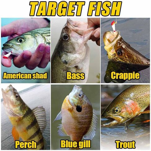 شاد سهام الصيد السحر رمي السهام رئيس تهزهز underspin بوكتيل الشعر الرقص رئيس لشاد الأمريكية باس Walleye Crappie Panfish 1/16oz 1/8oz 1/32oz 1/4oz 25 حزمة in Saudi Arabia