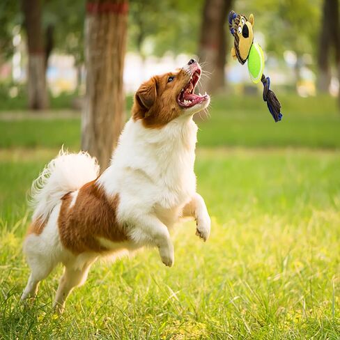 لعبة مضغ للكلاب من برودانس، ألعاب مضغ تصدر صوتًا للتسنين، ألعاب تفاعلية للكلاب، كرة للكلاب بحبل، قرد + كرة تنس in Kuwait