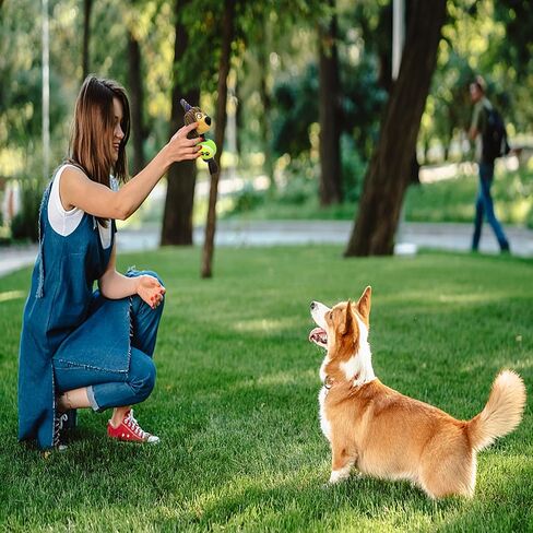 لعبة مضغ للكلاب من برودانس، ألعاب مضغ تصدر صوتًا للتسنين، ألعاب تفاعلية للكلاب، كرة للكلاب بحبل، قرد + كرة تنس in Kuwait