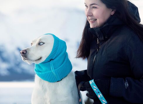 RC Pet Products 67004015 Polaris Snood Dog Neck Warmer, Teal, Medium in Saudi Arabia