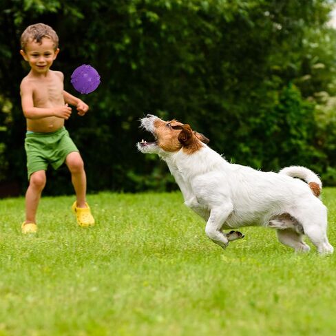 Frienda Squeaky Dog Toy Ball Reliable Rubber Squeaker Fun Interactive Toys Puppy Chew Toys Beach Outdoor Dog Ball for Large and Small Dog (Tennis Shape) in Saudi Arabia