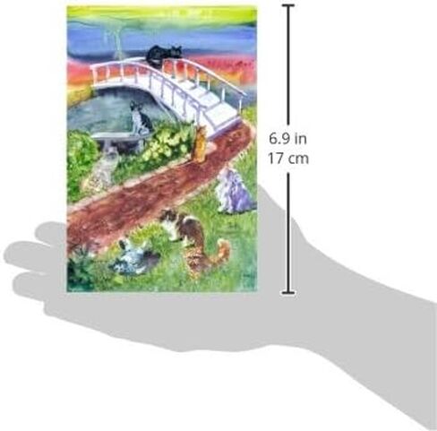 بطاقة تعاطف للحيوانات الأليفة رينبو بريدج للقطط in Kuwait