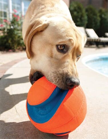 Chuckit! Kick Fetch Ball Small Ball - 5.5" Diametger (1 Pack) - Pack of 2 in Saudi Arabia
