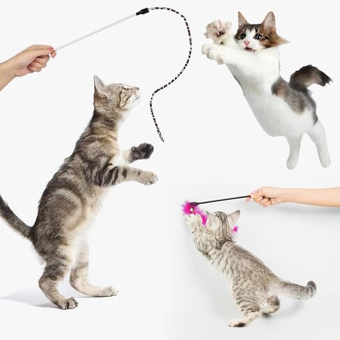 AILUKI 32 قطعة من ألعاب القطط الصغيرة، ألعاب تفاعلية متنوعة للنعناع البري مع نفق قوس قزح قابل للطي، كرات مجعدة من ريش القطط، لعبة الربيع للقطط، كيتي، الجرو in Kuwait