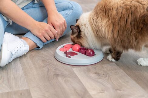 TRIXIE Cat Activity Hide N' Slide Strategy Game, Cat Treat Dispenser, Interactive Play in Saudi Arabia