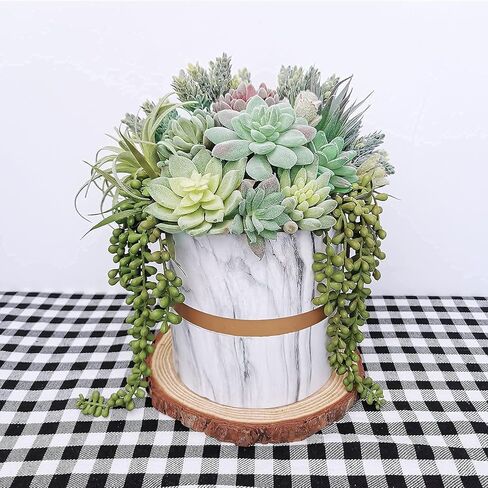 سوبلا مجموعة من 14 نباتات عصارية صناعية غير محفوظة في اصيص من اللؤلؤ، سيقان ايشيفيريا، نباتات عصارية باللون الاخضر المتدفق في انواع مختلفة باحجام مختلفة لترتيب الزهور in Kuwait