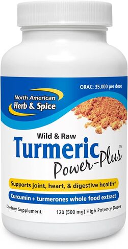 NORTH AMERICAN HERB & SPICE Turmeric Power-Plus - 120 Count - Curcumin & Turmerones Whole Food Extract - Joint, Heart & Digestive Health Support - Antioxidant - Non-GMO - 60 Servings in Saudi Arabia