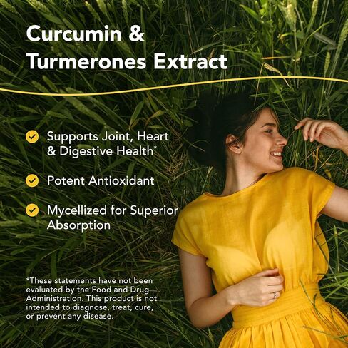 NORTH AMERICAN HERB & SPICE Turmeric Power-Plus - 120 Count - Curcumin & Turmerones Whole Food Extract - Joint, Heart & Digestive Health Support - Antioxidant - Non-GMO - 60 Servings in Saudi Arabia