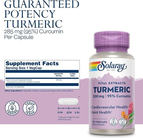 Solaray Guaranteed Potency Turmeric Root Extract 300 mg VCapsules, 120 Count in Saudi Arabia
