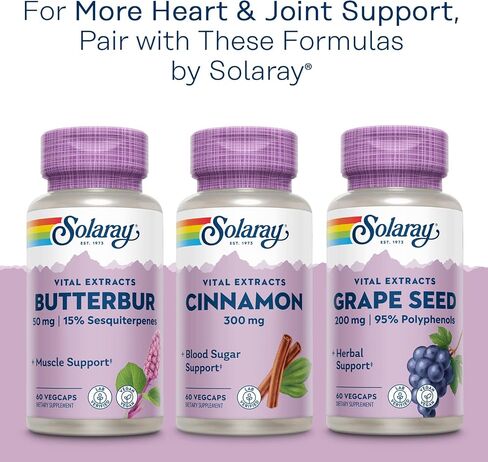 Solaray Guaranteed Potency Turmeric Root Extract 300 mg VCapsules, 120 Count in Saudi Arabia
