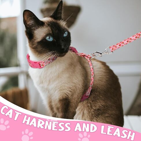 Auidy_6TXD حزام للقطط ومقود مقاوم للهروب، طقم مقود للقطط قابل للتعديل، مجموعة أطواق القطط المنفصلة للقطط الصغيرة والمشي والسفر في الهواء الطلق in Kuwait