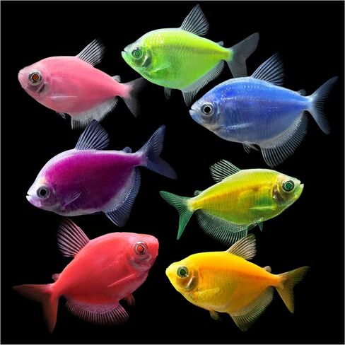 GloFish Anemone Ornament Pink, Detailed Aquarium Ornament, Creates A Glowing Effect in Saudi Arabia