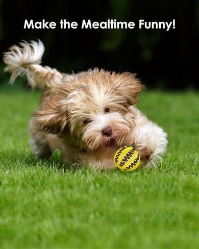 HGB 2 Pack Dog Toy Ball, Durable IQ Puzzle Chew Toys for Treat Dispensing, Puppy Teething, Dog Enrichment Toys for Teeth Cleaning, Pet Training, Interactive Dog Toys for Medium & Large Dogs in Kuwait