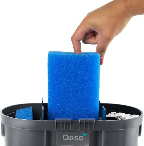 OASE Indoor Aquatics Filtosmart Thermo 100, Black in Saudi Arabia