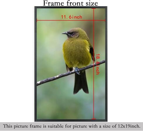 إطارات صور ZGCTSM مقاس 12 × 19 من الخشب الصلب مقاس 12 × 19 بوصة إطار ملصق للحائط مقاس 12 × 19 بوصة إطارات صور عائلية باللون الأسود (C22B1219) in Kuwait