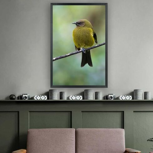 إطارات صور ZGCTSM مقاس 12 × 19 من الخشب الصلب مقاس 12 × 19 بوصة إطار ملصق للحائط مقاس 12 × 19 بوصة إطارات صور عائلية باللون الأسود (C22B1219) in Kuwait