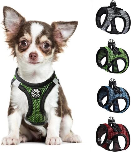 Step in Dog Harness Comfort Mesh Dog Vesr Harness Extra Small Pet Harness for Chihuahua Soft Padded Harness Lightweight Puppy Harness for Cat Doggie Outdoor Walking (Blue1, XX-Small) in Kuwait